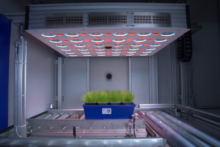 Chlorophyll Fluorescence Imaging | QubitPhenomics.com