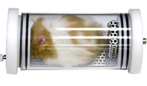 animal respirometry chamber