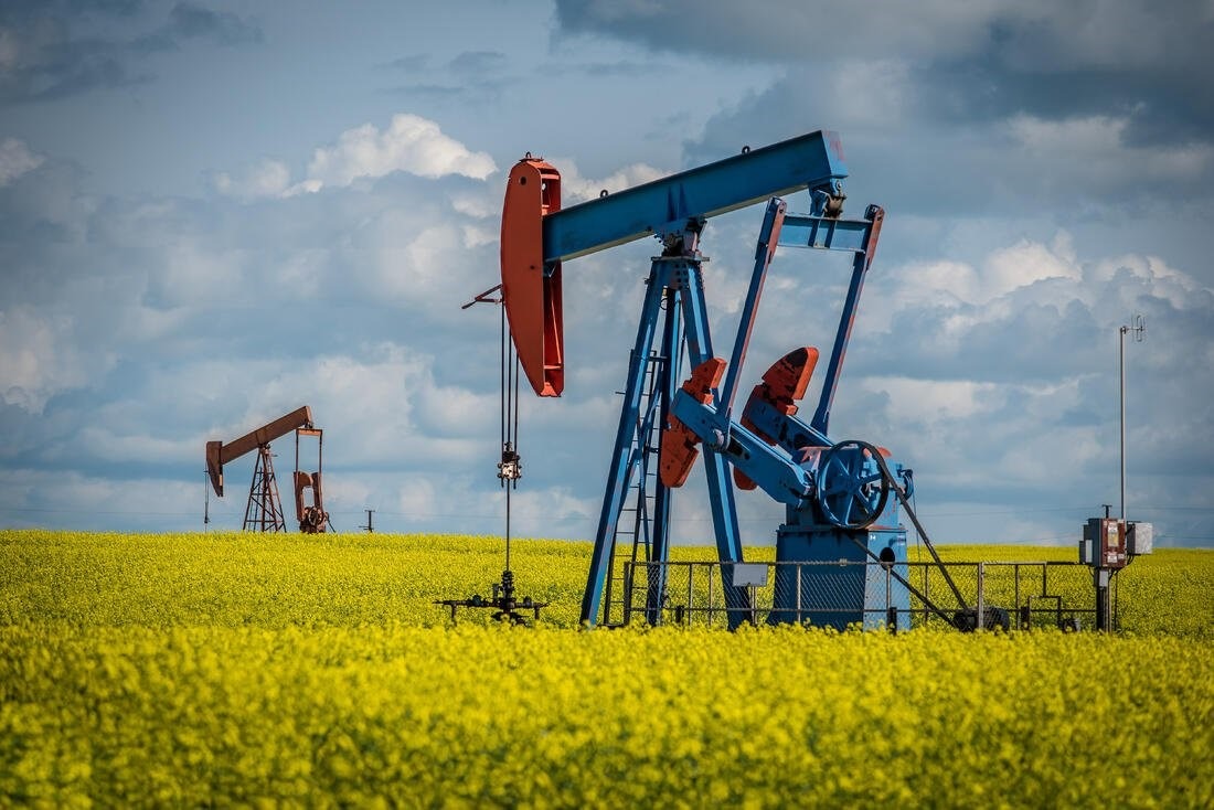 canola field and energy