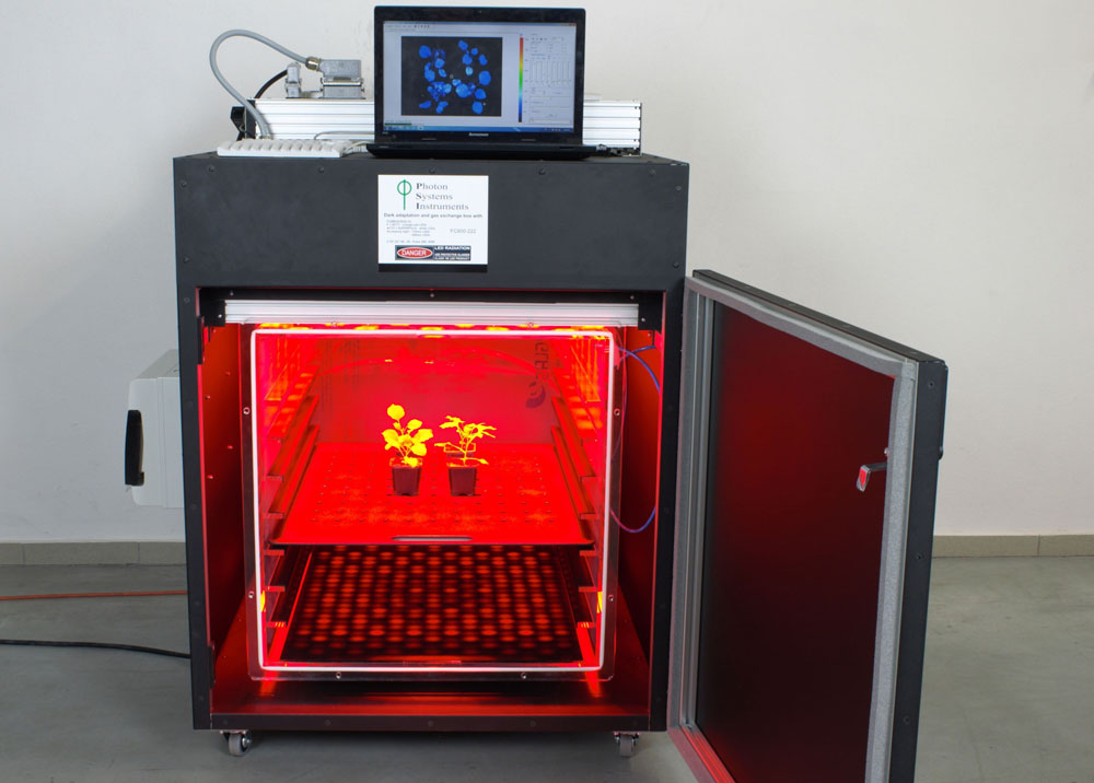 plant imaging