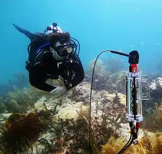 CISME for coral measurements