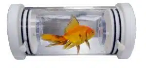 Aquatic respirometry Aquatic Respirometry