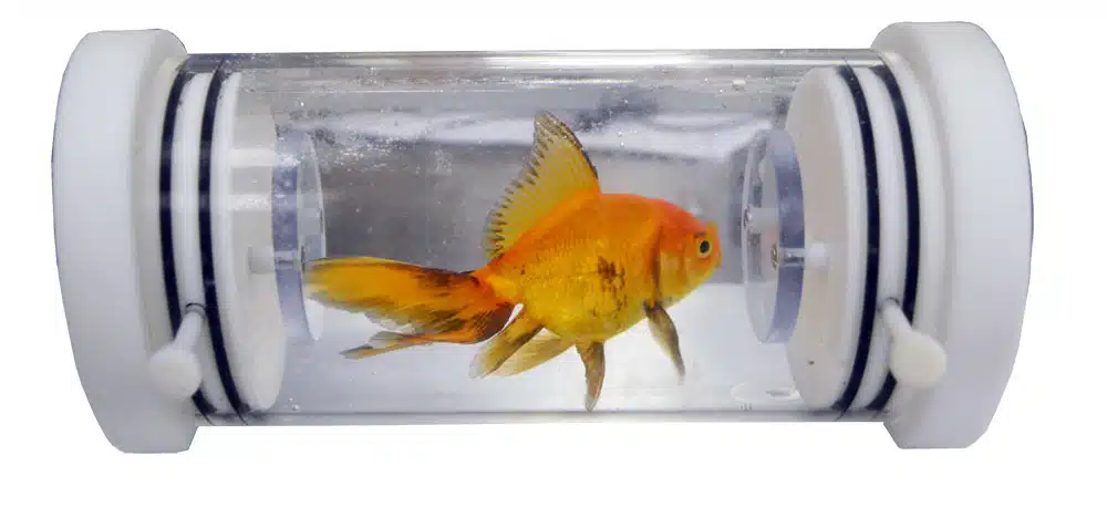 Aquatic respirometry Aquatic Respirometry