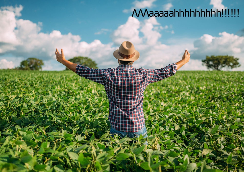 Happy man in soybean field