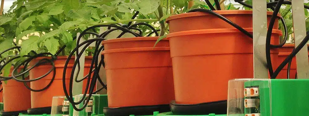 Plant-Di-Tec-web Plantarray