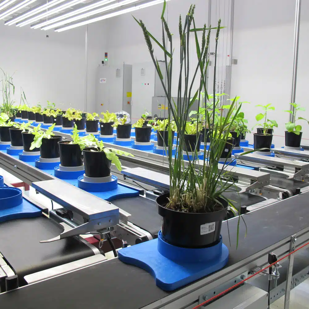 plant-phenotyping High Throughput Plant Phenotyping