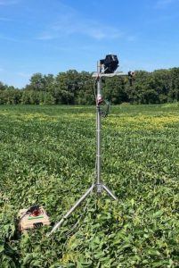 NOX measuring field crop water content