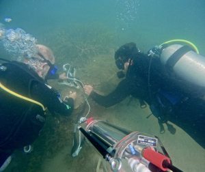 Divers examining underwater equipment together.